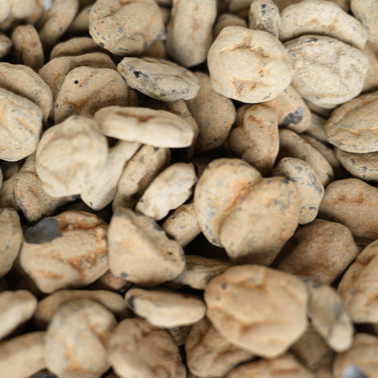 Salty & Strong Liquorice Frog Shapes